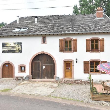 Serendipity For All Apartments Saint-Die-des-Vosges Exterior foto